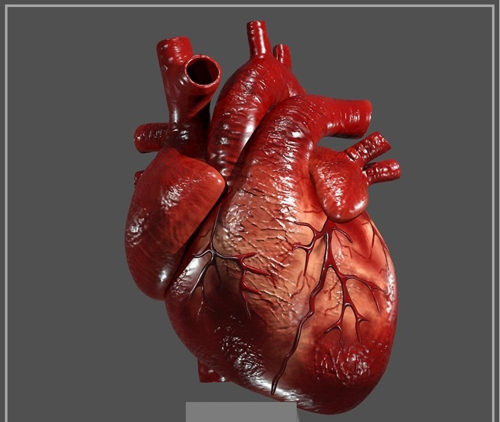 ده دلیل شدت ضربان قلب 