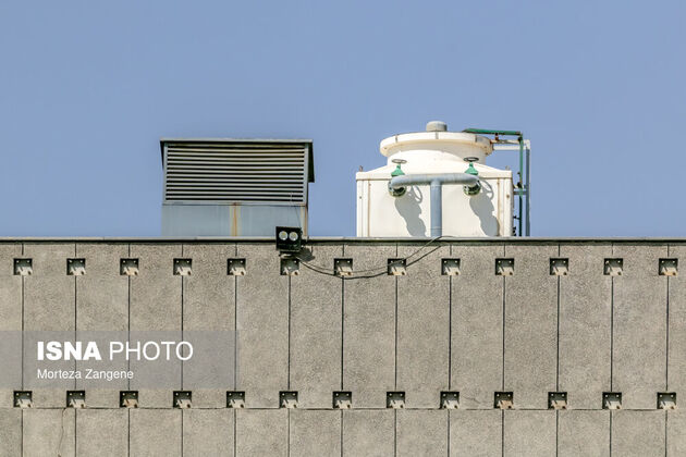 62075298_zangene-isna-20