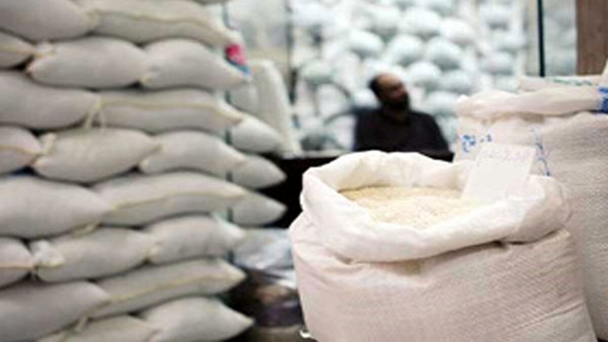 برنج ایرانی ارزان شد/ قیمت برنج طارم چند؟