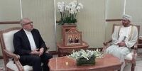 جزئیات دیدار وزیر نفت ایران با وزیر امور خارجه عمان