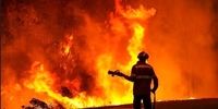 حریق در خیابان منتهی به شاهچراغ مهار شد+ فیلم