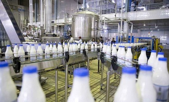 کاهش چشمگیر خرید شیر پاستوریزه در کشور