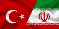 رئیس مجلس ترکیه وارد ایران شد