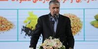 سازمان انرژی اتمی چه تعداد مرکز پرتودهی در کشور به راه می اندازد؟