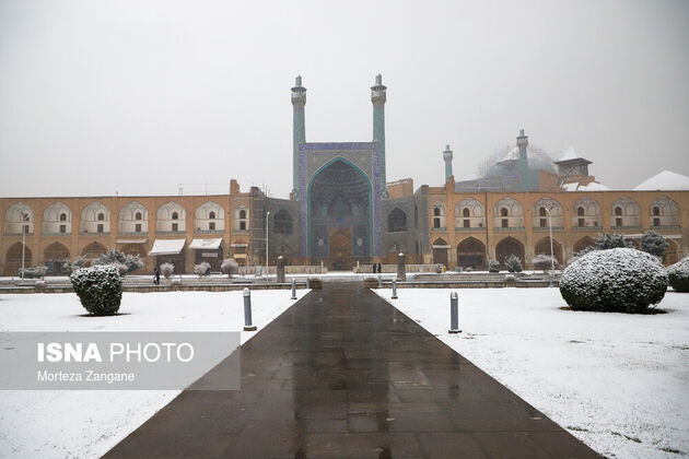 61540543_morteza-zanganeh-1616
