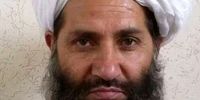 خبرهای مهم درباره رهبر طالبان /او زنده است یا کشته شد؟