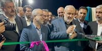 وزیر صمت این کارخانه را در کرمان افتتاح کرد