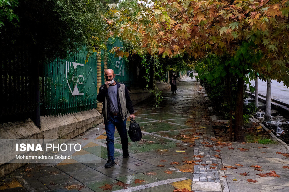 تصاویر| تهران پاییزی را ببینید