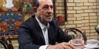 الویری:در حال از دست دادن فرصت‌های طلایی هستیم/  با شلاق زدن لبو فروش و برنج فروش مشکلات حل نمی‌شود