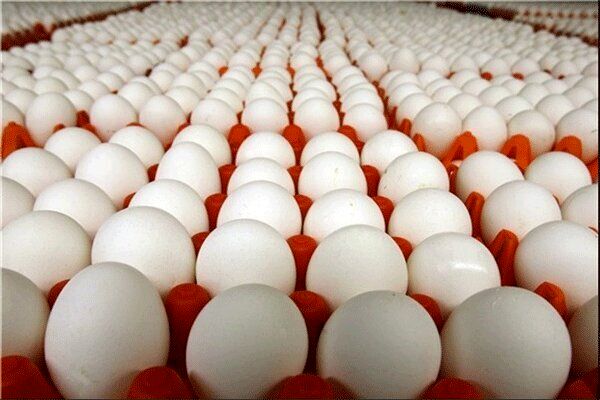 تخم مرغ‌های ارزان‌تر از نرخ مصوب + قیمت جدید تخم مرغ 