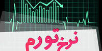 بانک مرکزی نرخ تورم خرداد را اعلام کرد
