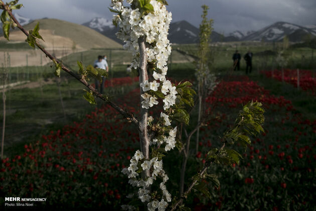 3769509_IMG_9372