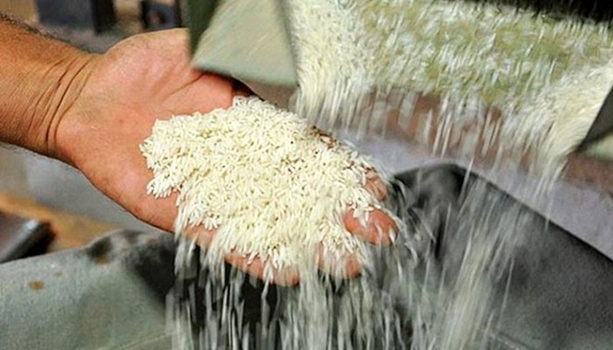 ریزش قیمت برنج + قیمت جدید