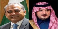تماس تلفنی وزیر کشور پاکستان با همتای سعودی از تهران