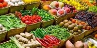 دلایل اصلی برگشت محصولات کشاورزی ایران چه بود؟