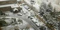 بارش برف در تهران/ پایتخت سفیدپوش شد+ فیلم