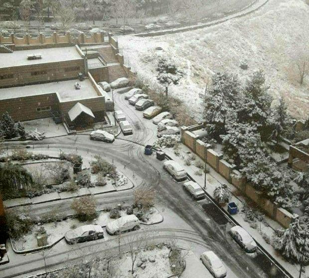 بارش برف در تهران/ پایتخت سفیدپوش شد+ فیلم