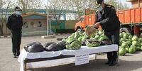 کشف هندوانه با طعم تریاک!
