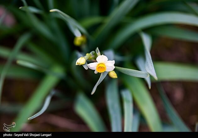 image27