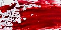  قتل هولناک زن ثروتمند مشهدی/ ماجرا چه بود؟