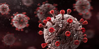مخالفت چین با تحقیقات بیشتر در مورد منشاء ویروس کرونا