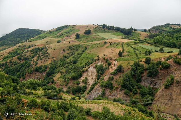 14128831_721