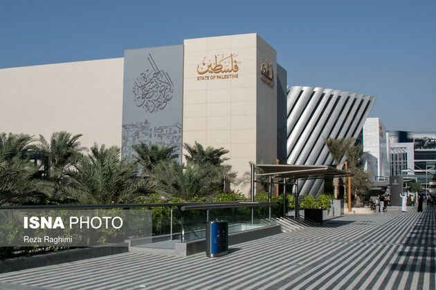 62059599_mohammadali-ghasemi-21