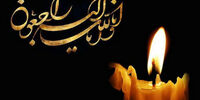 سیروس برادران شکوهی درگذشت
