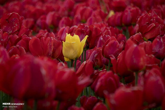 3769504_IMG_9309
