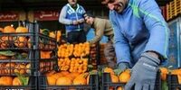 قیمت میوه و سبزیجات اعلام شد+ جدول