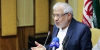 بادامچیان: ایران در مذاکره برای نتیجه‌دهی شرکت می‌کند