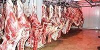 پیش‌بینی شورای دام درباره کاهش قیمت گوشت