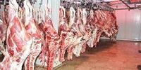 پیش‌بینی شورای دام درباره کاهش قیمت گوشت