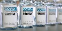 خبر رئیس ستاد اجرای فرمان امام از تولید واکسن کرونای جهش‌یافته