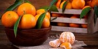 این افراد به هیچ وجه نباید پرتقال و نارنگی بخورند