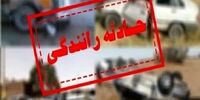 واژگونی جرثقیل ۶۰ تنی در سازمان برنامه+ عکس
