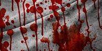 برادران جنایتکار دستگیر شدند