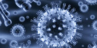 هر آنچه باید از " HIV" بدانید