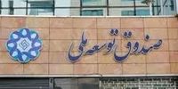 برداشت یک میلیارد دلار از صندوق توسعه ملی برای تأمین کالاهای اساسی