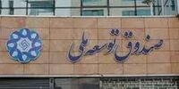 برداشت یک میلیارد دلار از صندوق توسعه ملی برای تأمین کالاهای اساسی