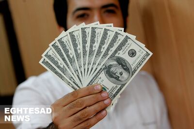 منطقه خاکستری در بازار دلار / پیش بینی قیمت دلار امروز 12 دی 