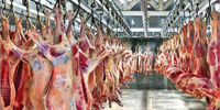 روش جدید دولت برای کاهش قیمت گوشت