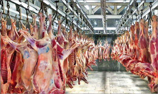 روش جدید دولت برای کاهش قیمت گوشت