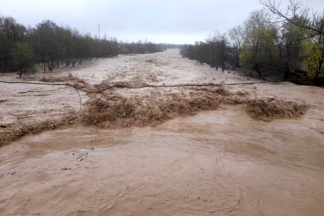 وضعیت بحرانی سدهای تهران/ هر سد چقدر آب دارد؟+ جدول 