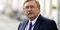 واکنش اولیانوف به یک اتهام درباره مذاکرات برجامی
