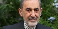 ولایتی: حیات اعراب حاشیه خلیج فارس مدیون مدیریت ایران بر تنگه هرمز است
