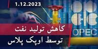 رشد تولید نفت ایران مانع کاهش تولید اوپک نشد 