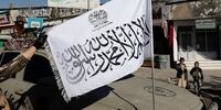 میزان درآمد طالبان لو رفت 

