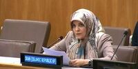 سفیر ایران خطاب به کانادا: از روباه پرسیدند شاهدت کیه؟ گفت دمم!
