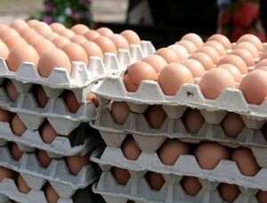 تخم مرغ شانه‌ای چند؟
